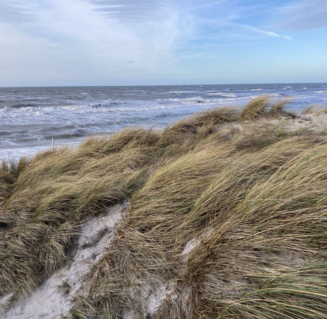 © Nationalparkamt Vorpommern © Nationalparkamt Vorpommern