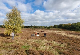 Heidepflege 2025, &copy; D. Foitl&auml;nger