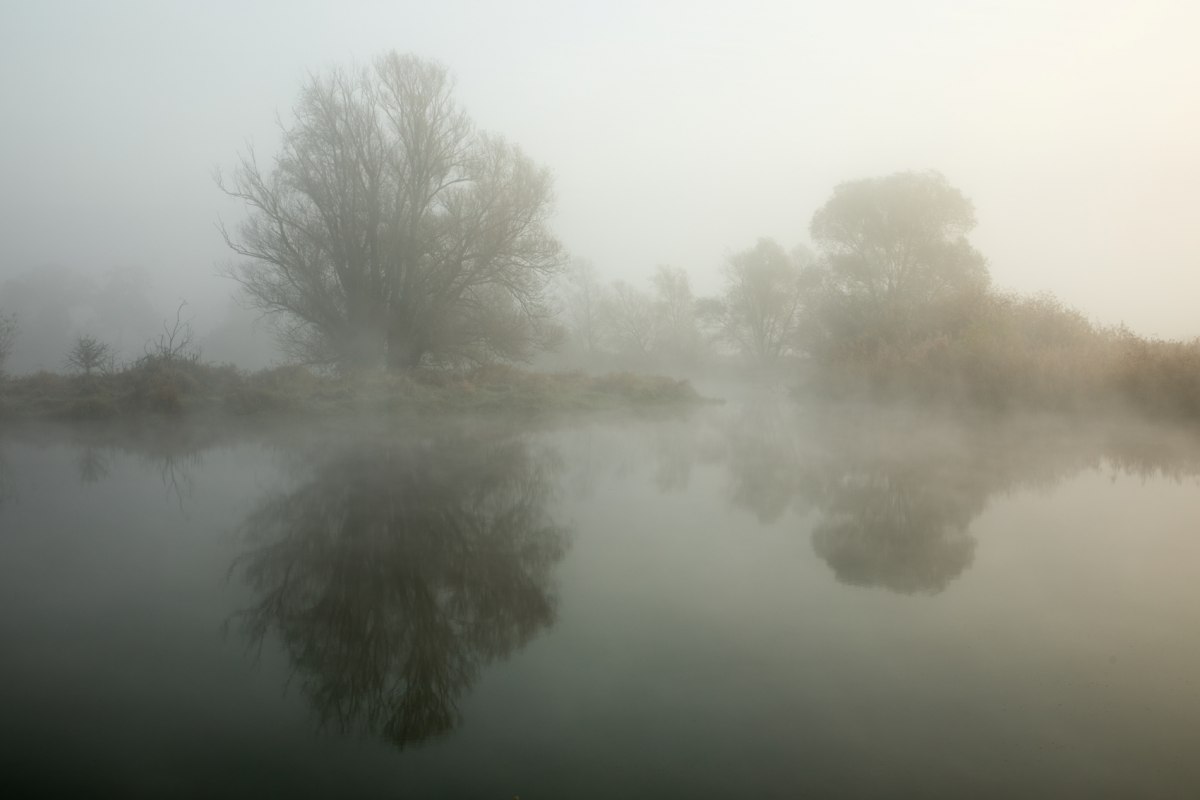 Nebelmorgen an der Löcknitz // © Ulf Pipping Nebelmorgen an der Löcknitz // © Ulf Pipping