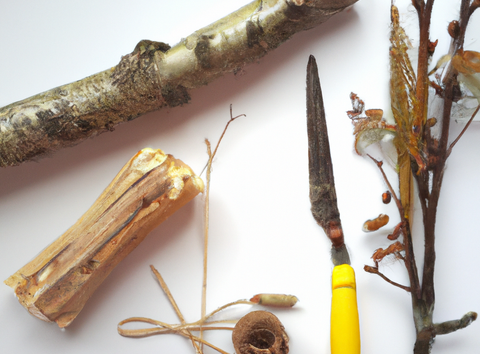 Von der Natur inspirieren lassen und kreativ werden // © Annett Freese Von der Natur inspirieren lassen und kreativ werden // © Annett Freese