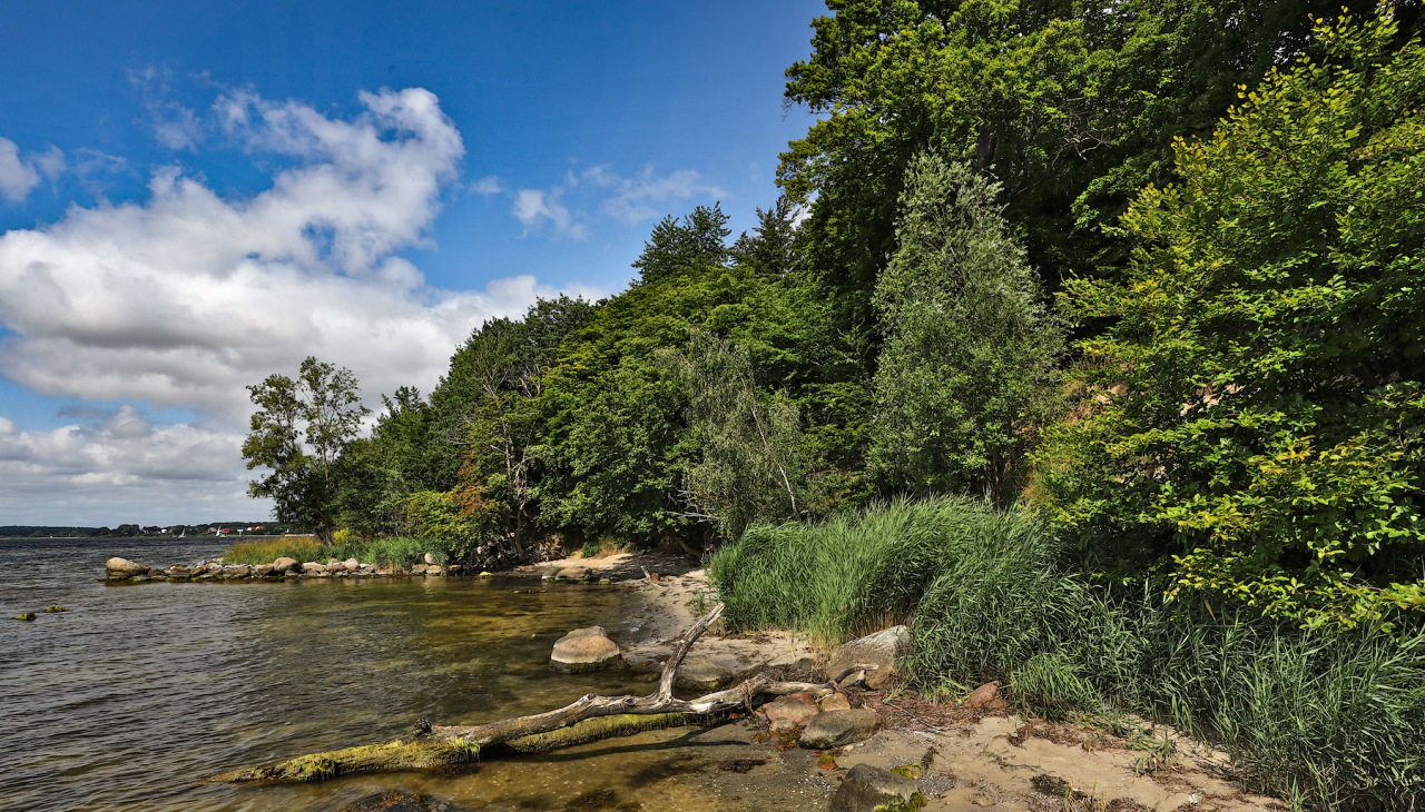 pfad-der-musse-und-erkenntnis_4, &copy; TMV/Gohlke