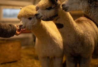 &copy; Sven Hasener / Gutes aus Vorpommern