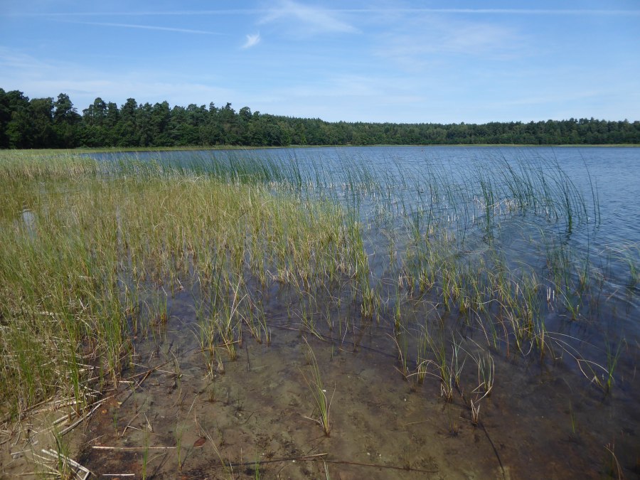 Langhagensee, &copy; Ralf Koch