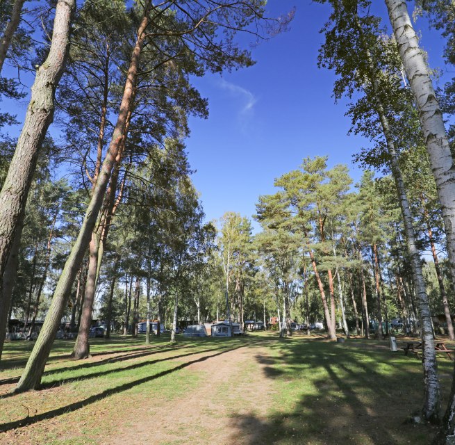 © TMV/Gohlke © TMV/Gohlke