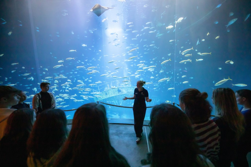 OZEANEUM Führung Jugendliche, © Anke Neumeister/Deutsches Meeresmuseum