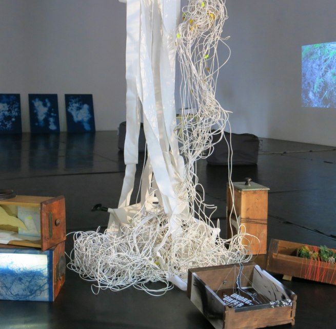 Installationsansicht Wachsen , Wuchern, Wühlen, Wundern 2025 Mixed Media // © Friederike Preuschen Installationsansicht Wachsen , Wuchern, Wühlen, Wundern 2025 Mixed Media // © Friederike Preuschen