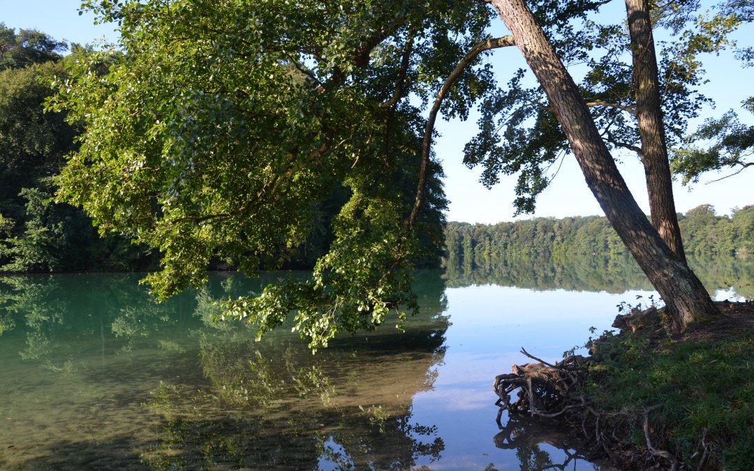 &copy; Kurverwaltung FSL