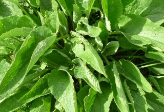 © Pixabay © Pixabay