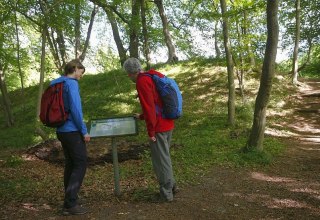 Eine Schautafel gibt einen Überlick über die Wallanlage. // © MV-T/outdoor-visions.com Eine Schautafel gibt einen Überlick über die Wallanlage. // © MV-T/outdoor-visions.com