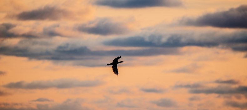 &copy; Binzer Bucht Tourismus