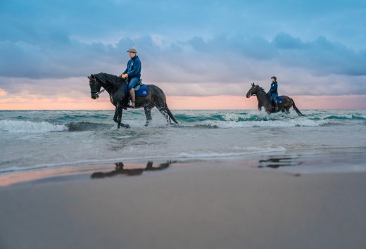 Zwei Reiter auf dem Pferd machen Strandreiten zum Sonnenuntergang an der Ostsee auf der Halbinsel Fischland-Darß-Zingst // Strandreiten zum Sonnenuntergang an der Ostsee auf der Halbinsel Fischland-Darß-Zingst // © MV-T/Tiemann Zwei Reiter auf dem Pferd machen Strandreiten zum Sonnenuntergang an der Ostsee auf der Halbinsel Fischland-Darß-Zingst