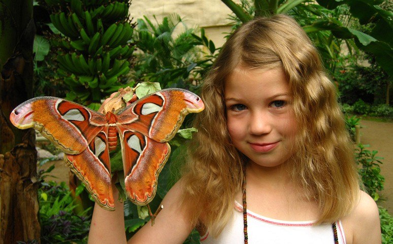 &copy; Schmetterlingspark Kl&uuml;tzer Winkel