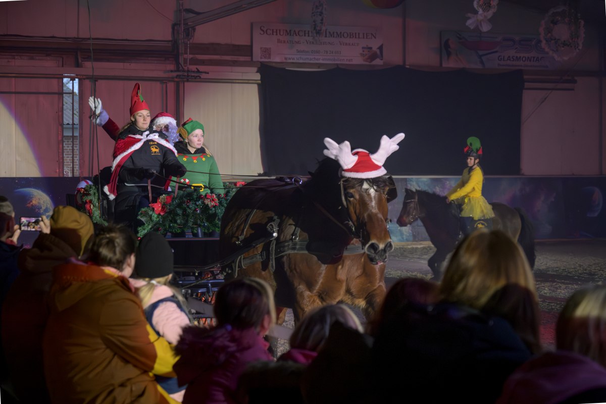 Weihnachtsmärchen Bernsteinreiter, &copy; DE