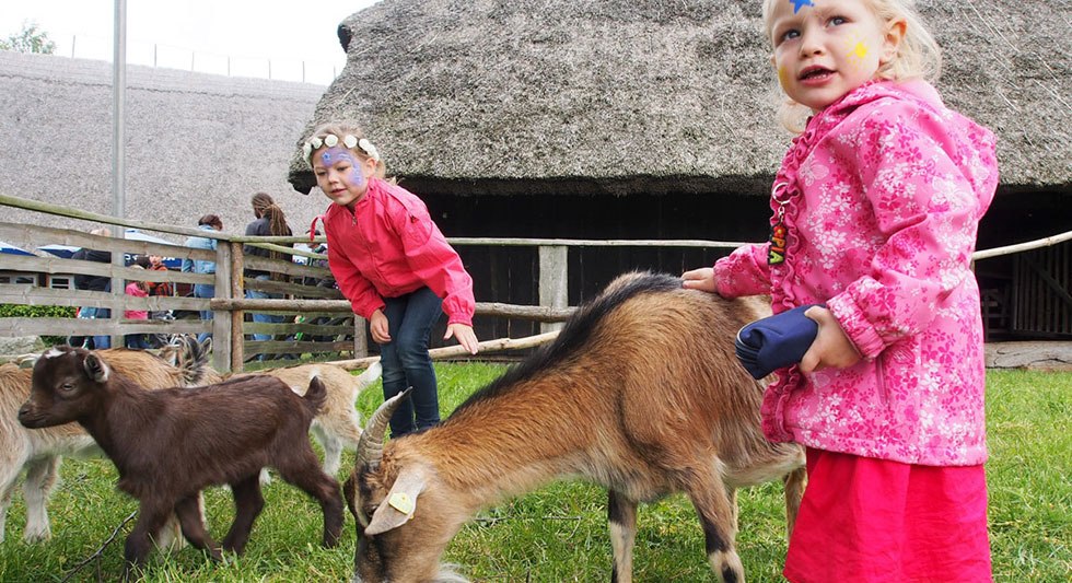 Dieren van dichtbij // &copy; Freilichtmuseum Klockenhagen