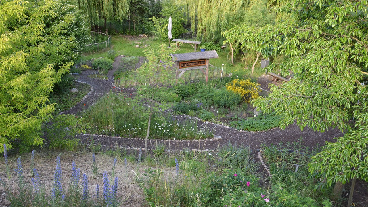 © Wildpflanzengarten Waren (Müritz) © Wildpflanzengarten Waren (Müritz)