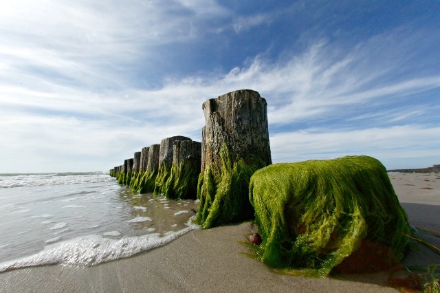 &copy; copyright Uwe Engler