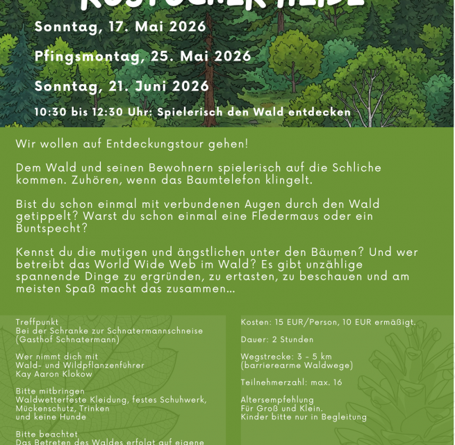 Flyer // &copy; K.Klokow