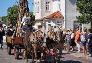 © Festumzug © Festumzug