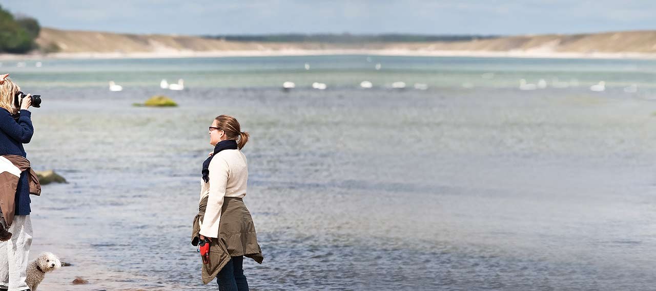 AktivUrlaubLietzow, © Gästehaus Lietzow & Störtebeker Camp AktivUrlaubLietzow, © Gästehaus Lietzow & Störtebeker Camp