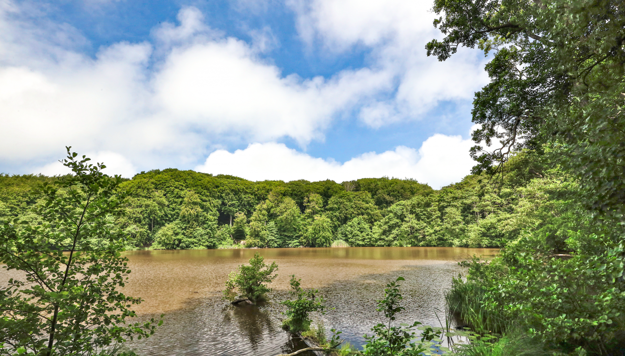 herthasee_3, © TMV/Gohlke herthasee_3, © TMV/Gohlke