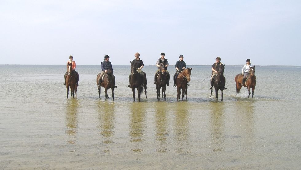 Mit dem Landgut Lischow bis ans Wasser reiten // © Ferien- und Reiterhof Landgut Lischow/Schröder Mit dem Landgut Lischow bis ans Wasser reiten // © Ferien- und Reiterhof Landgut Lischow/Schröder