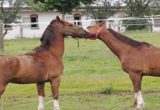 Ich hab dich lieb!, &copy; Kurverwaltung Insel Poel