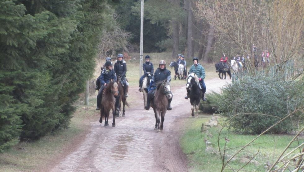Beleef ritten te paard met de rij- en menclub Strameuß, © Reit- und Fahrverein Strameuß Beleef ritten te paard met de rij- en menclub Strameuß, © Reit- und Fahrverein Strameuß
