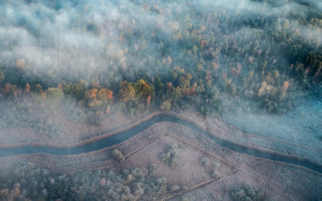 Recknitztal bij Camitz, © TMV/Gänsicke Recknitztal bij Camitz, © TMV/Gänsicke