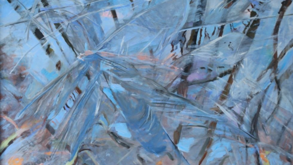 eingefroren, &copy; Erika Hartung