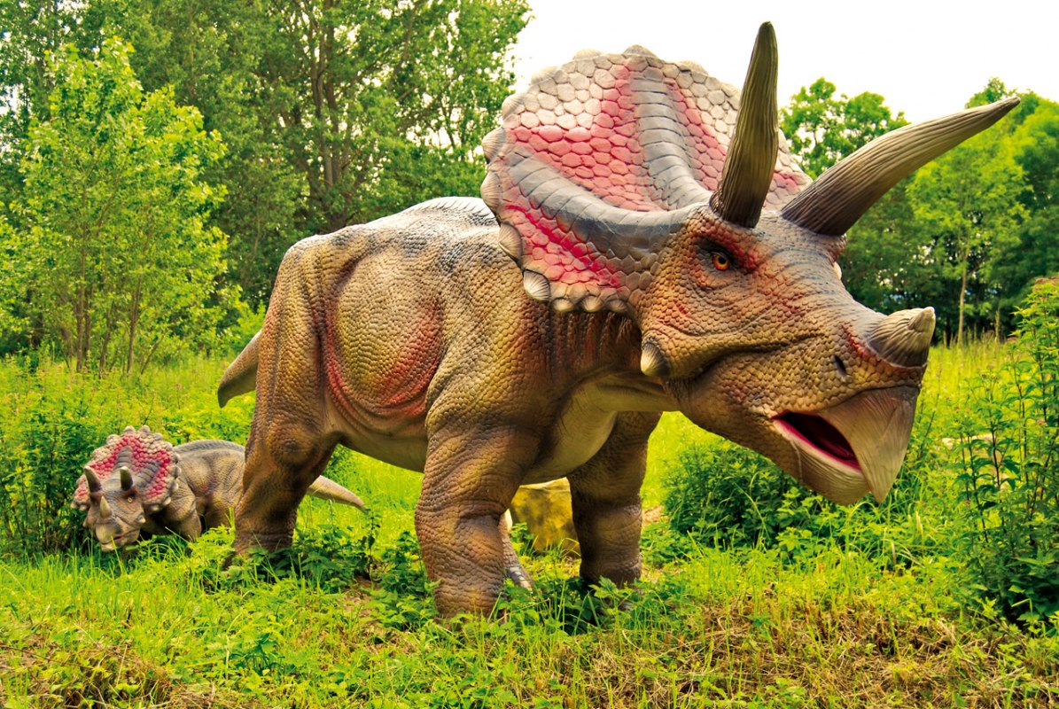 Triceratops // &copy; Marcel Kunkel