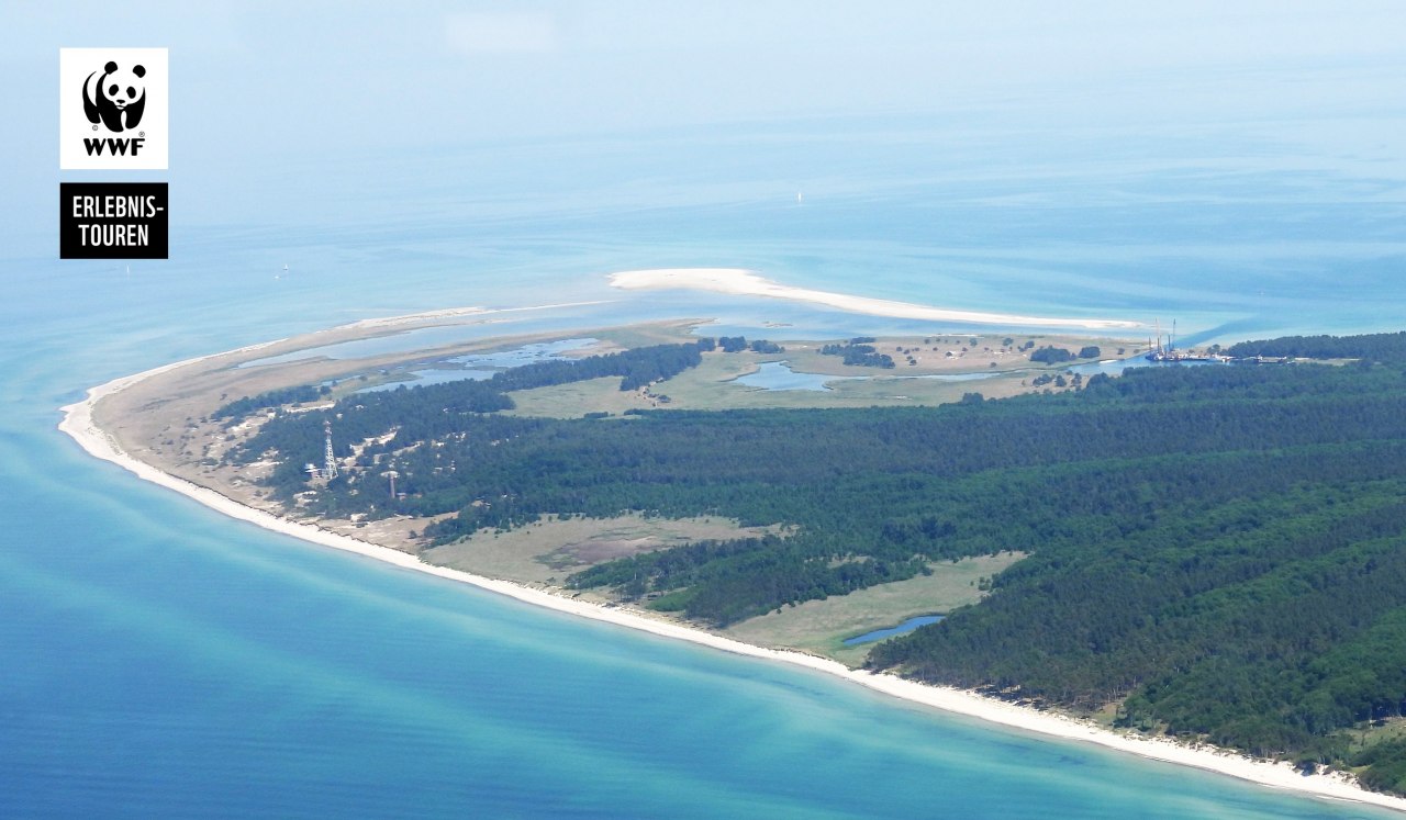 &copy; MartinHagemann