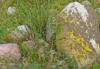 &copy; Arch&auml;o Tour R&uuml;gen