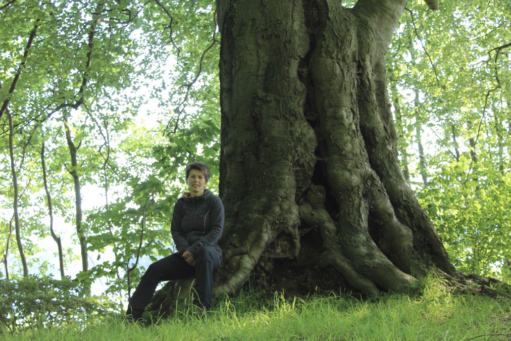 Baummeditation, &copy; Dr. Dorit St&ouml;vhase-Klaunig