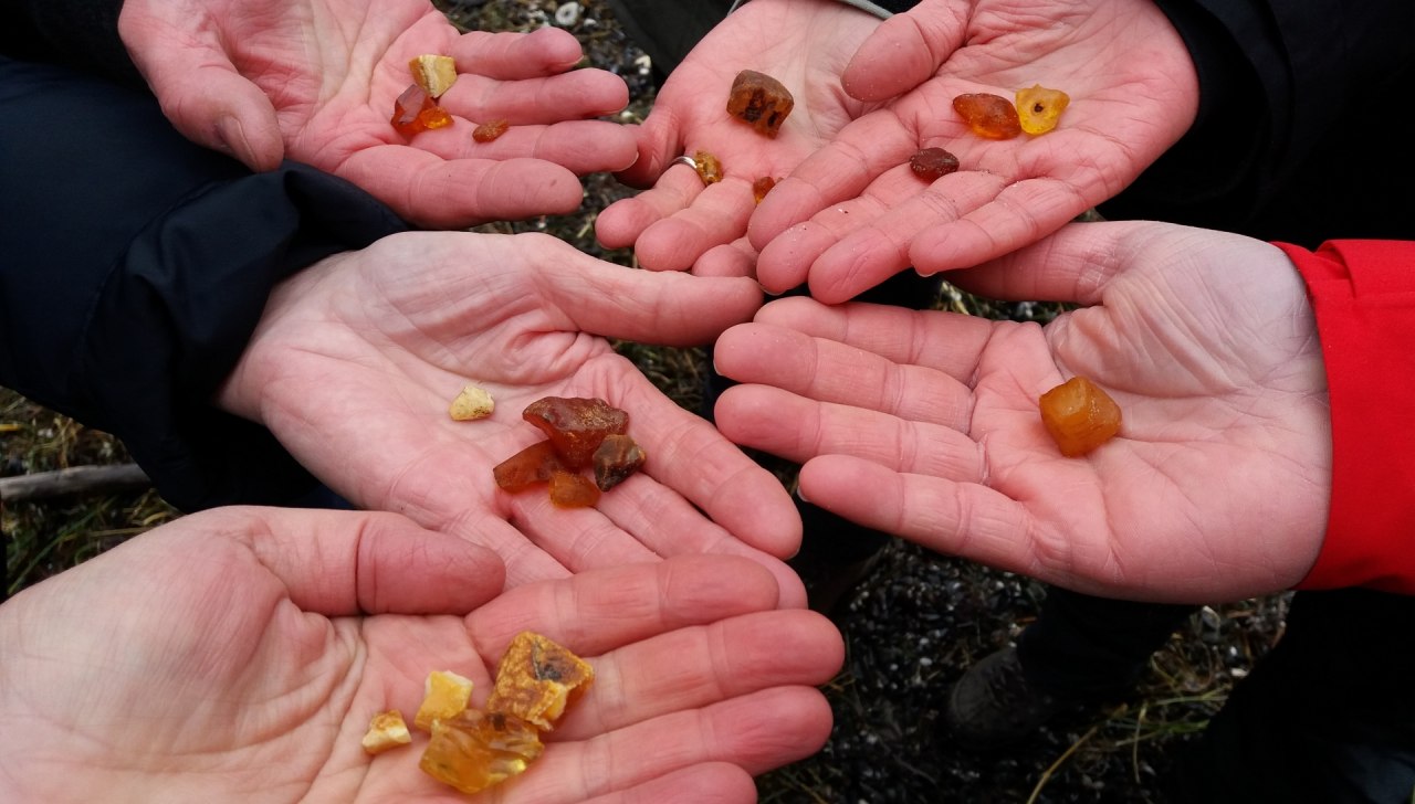 Gemeinsame Funde bei guten Bedingungen // © Martin Hagemann Gemeinsame Funde bei guten Bedingungen // © Martin Hagemann