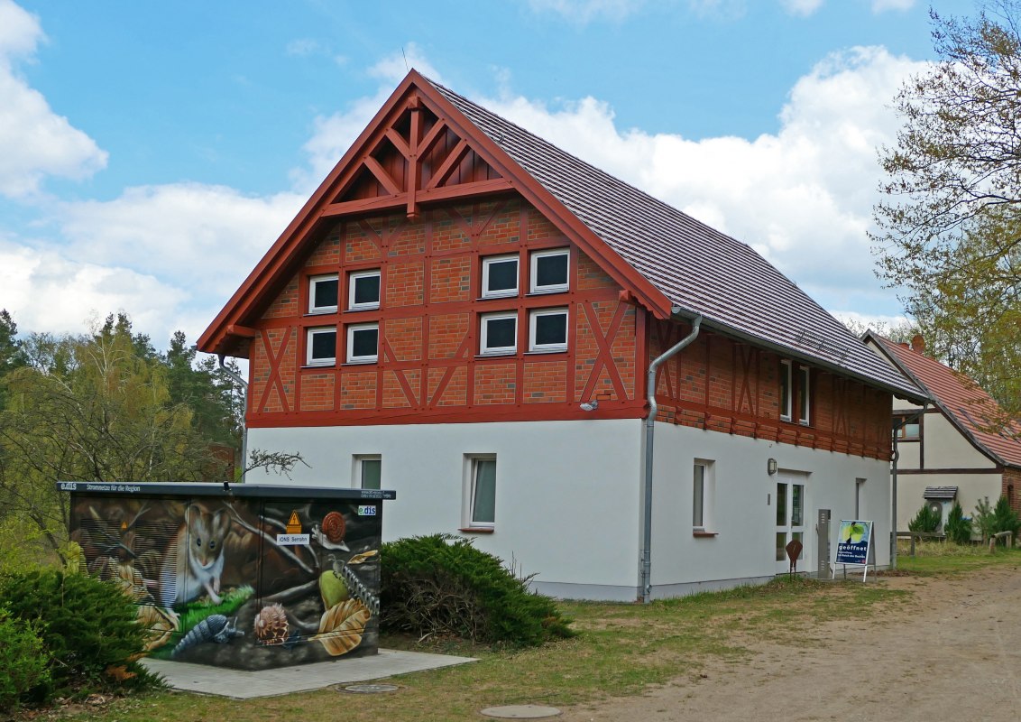 Hier bekommen Sie Informationen über den Lebensraum Buchenwald. // © Wiebke Döbbert Hier bekommen Sie Informationen über den Lebensraum Buchenwald. // © Wiebke Döbbert
