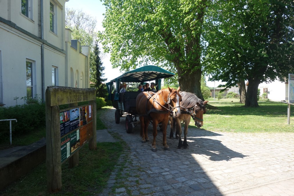 Gutshaus Boek, © TDG Rechlin mbH Gutshaus Boek, © TDG Rechlin mbH