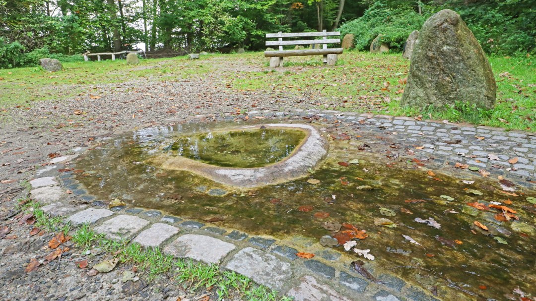 Havelquelle_3, &copy; TMV/Gohlke