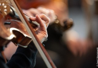 &copy; Geert Maciejewski