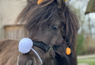 Ostern bei den Bernsteinreitern, &copy; De