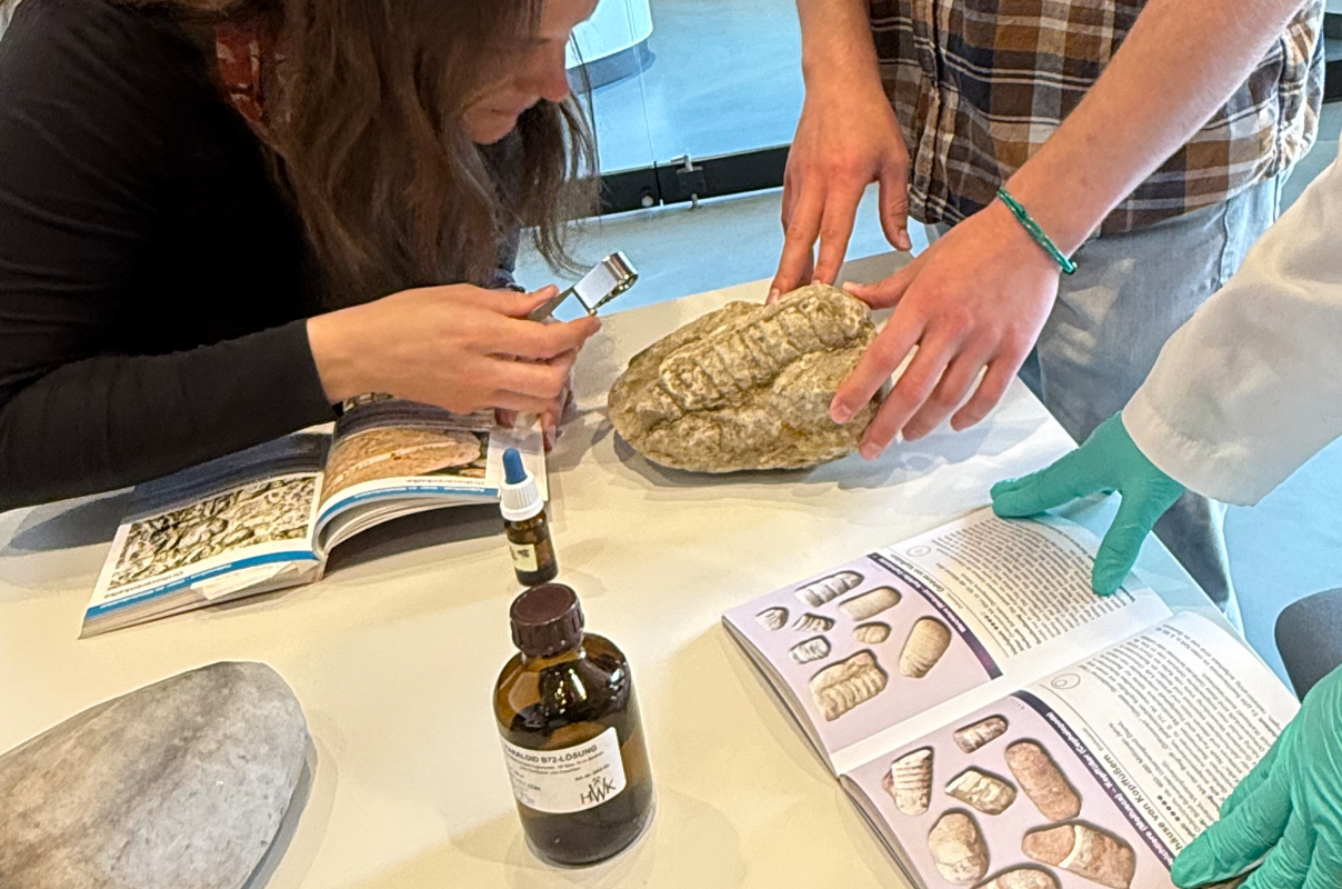 Was ist das f&uuml;r ein Gestein? // &copy; Claudia Siatkowski/M&uuml;ritzeum