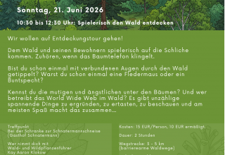 Flyer // &copy; K.Klokow