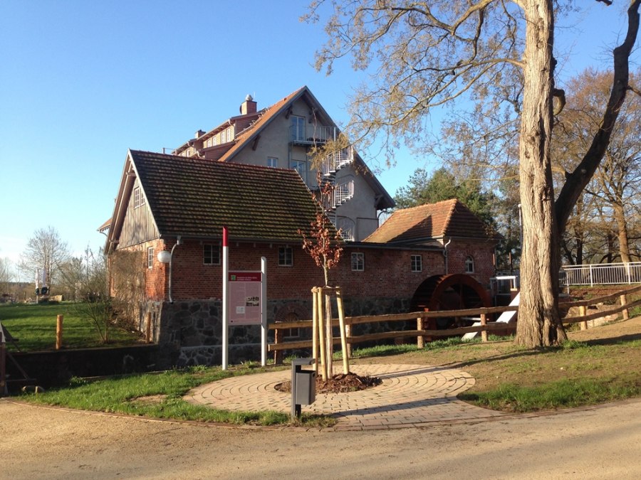 Wasserschaurad und Mühlenflies an der Bolter Mühle, © TDG Rechlin mbH