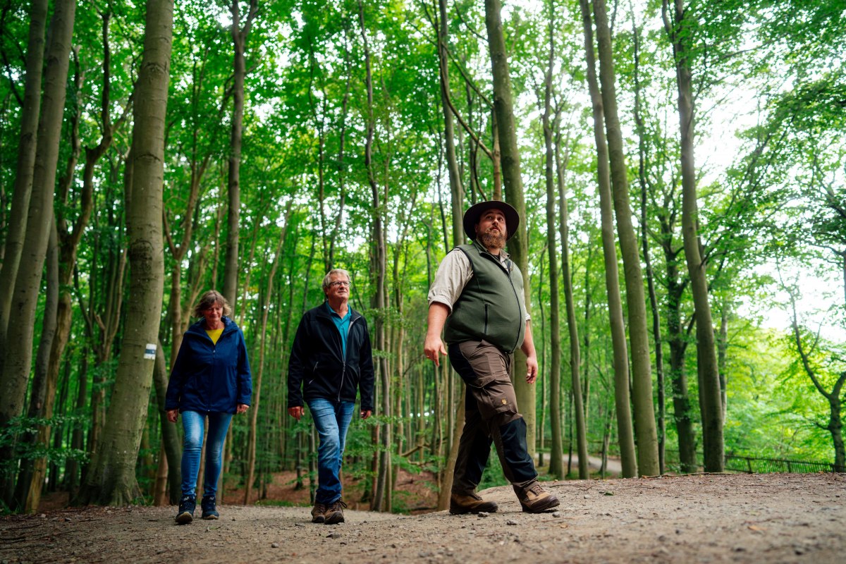 &copy; Nationalpark-Zentrum K&Ouml;NIGSSTUHL / Dan Petermann