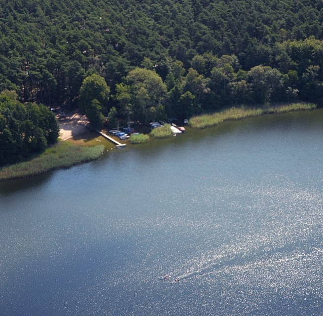 Der Campingplatz liegt im lichten Kiefernwald - direkt am Leppinsee. // &copy; Haveltourist