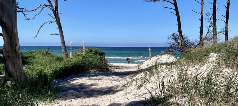 Dar&szlig;er Weststrand // &copy; Islandpferdehof Fischland