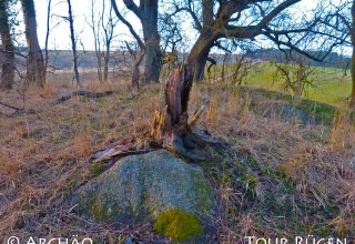 de megalithische graftombe midden op een met bomen begroeide heuvel // © Archäo Tour Rügen de megalithische graftombe midden op een met bomen begroeide heuvel // © Archäo Tour Rügen