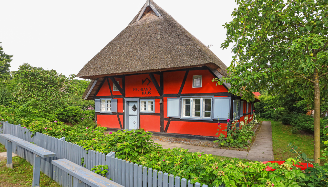 Fischlandhaus Bibliothek Ostseebad Wustrow, © TMV/Gohlke