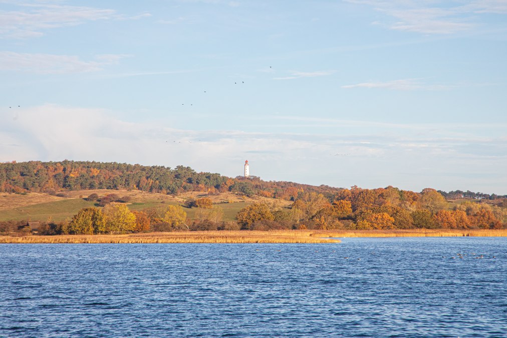 Insel Hiddensee erleben, &copy; Wei&szlig;e Flotte GmbH