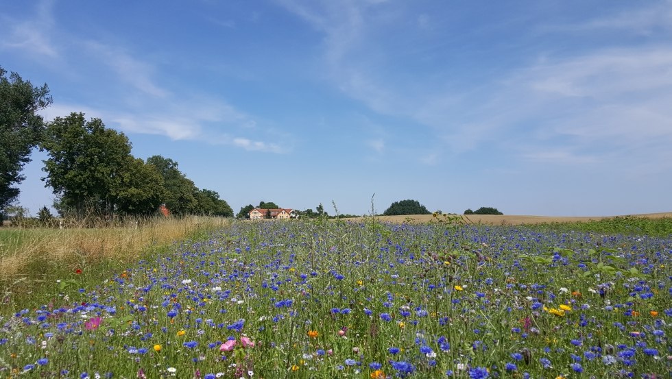 Uitzicht op het landhuis Sietow, © TMV/UB Uitzicht op het landhuis Sietow, © TMV/UB