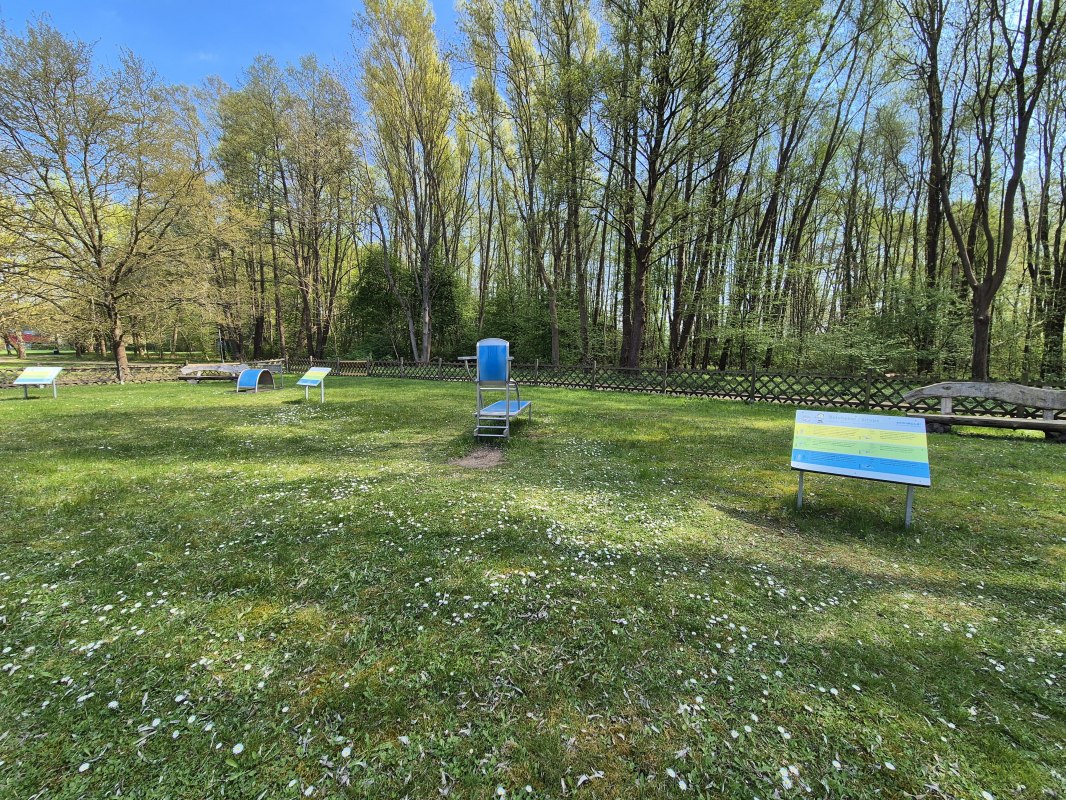 &copy; Gina Schulenberg